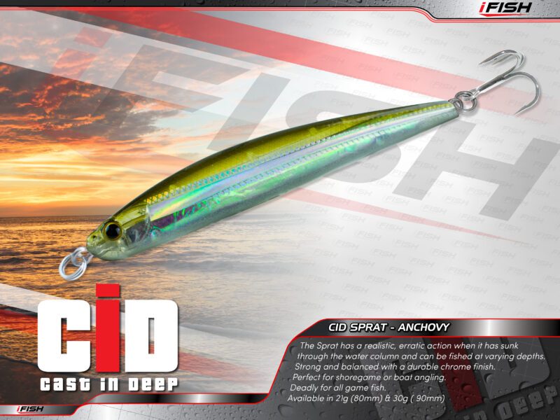 CID Casting Sprat – Anchovy